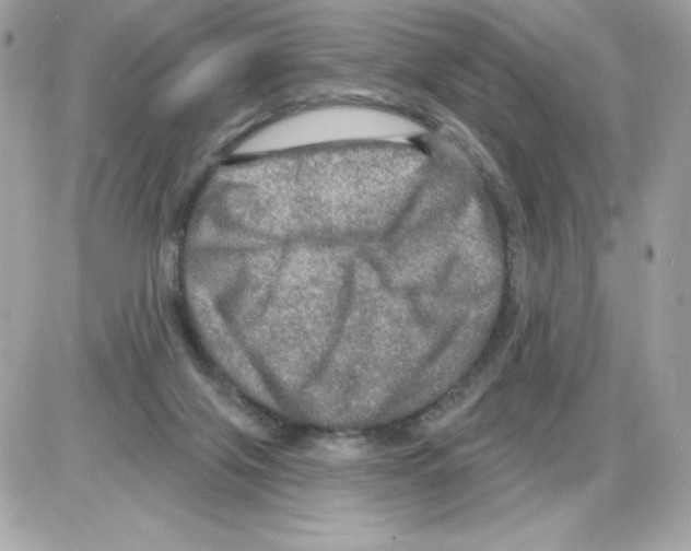 X0000085300071200704092308