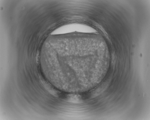 X0000085300073200704092308