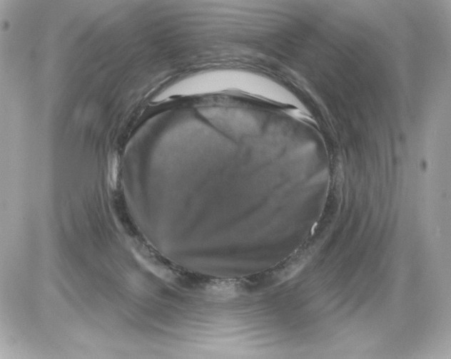 X0000085300076200704092308
