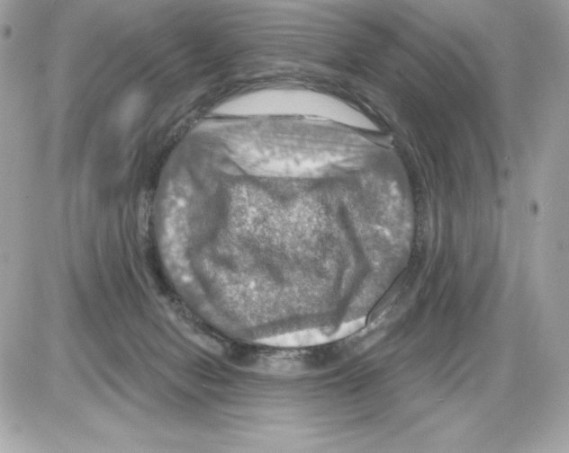 X0000085300078200704092308