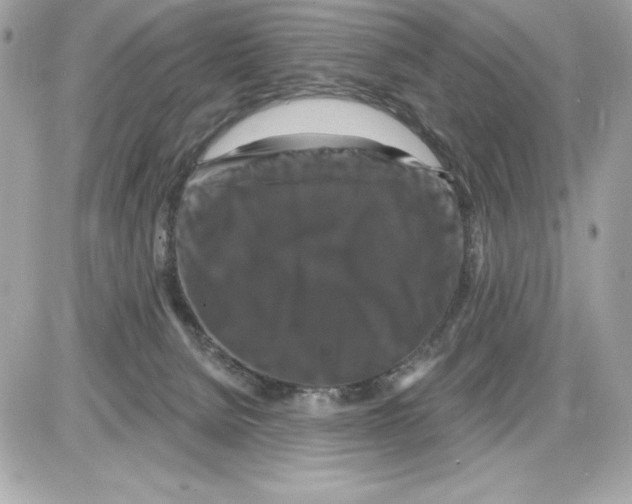 X0000085300080200704092308