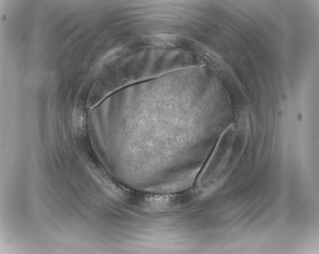 X0000085300084200704092308