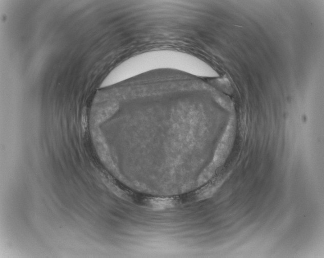 X0000085300085200704092308