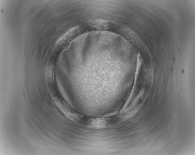 X0000085300088200704092308