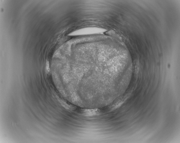 X0000085300089200704092308