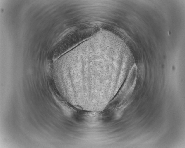 X0000085300092200704092309