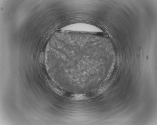 X0000085300093200704092309