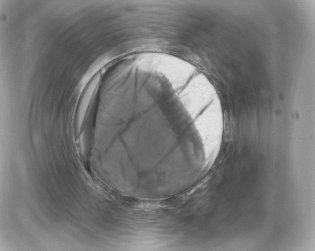 X0000085300099200704092308