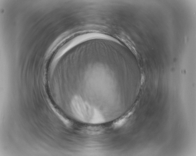 X0000085300101200704092308