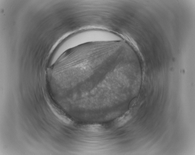 X0000085300108200704092308