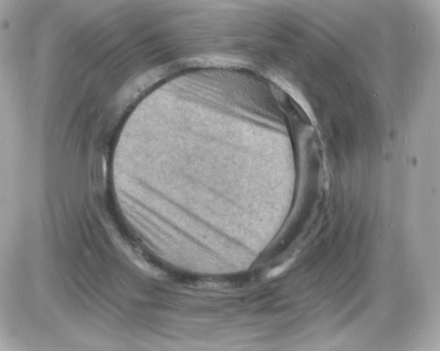X0000085300109200704092308