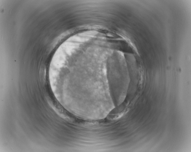 X0000085300110200704092308