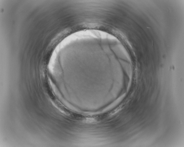 X0000085300114200704092308