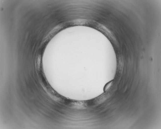 X0000085300118200704092307