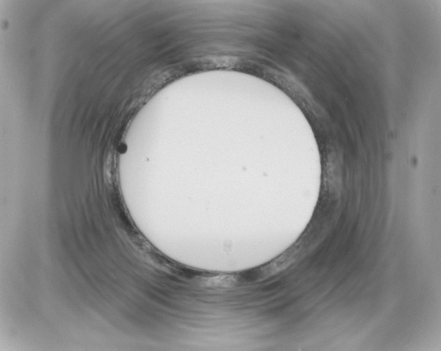 X0000085300122200704092307