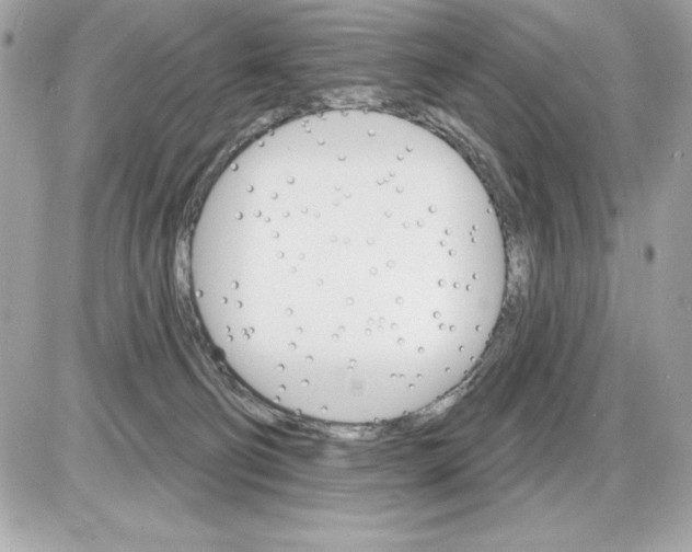 X0000085300130200704092307
