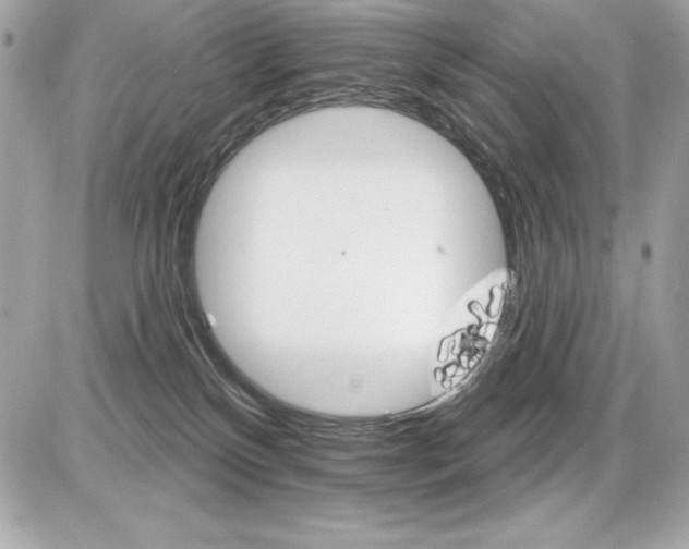 X0000085300136200704092307