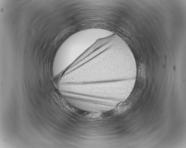 X0000085300138200704092307