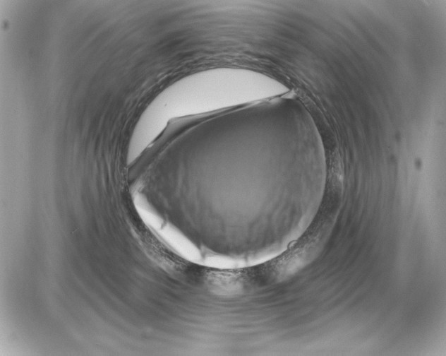 X0000085300139200704092307