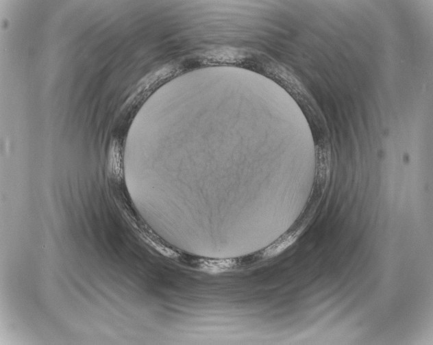 X0000085300143200704092307