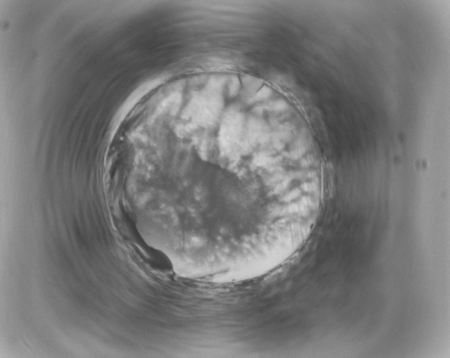 X0000085300147200704092306