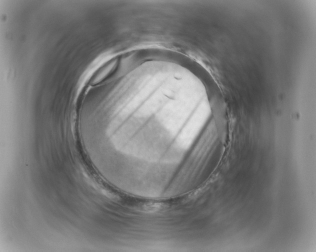 X0000085300152200704092306
