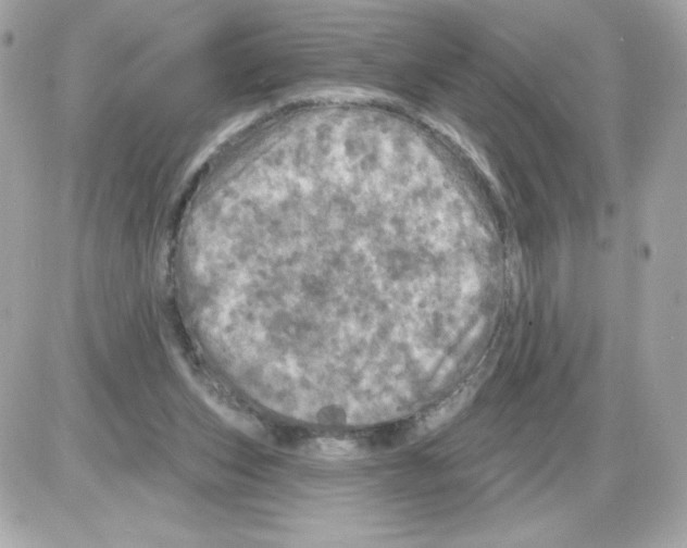 X0000085300159200704092306