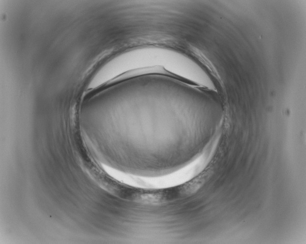 X0000085300163200704092307