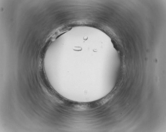 X0000085300164200704092307