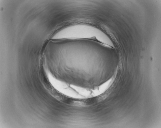X0000085300167200704092307