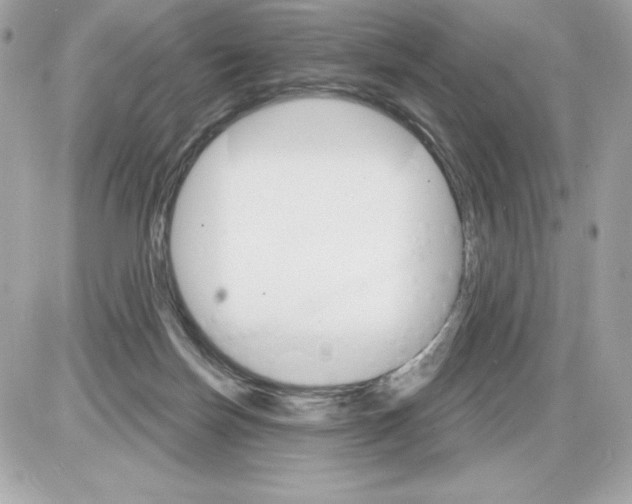 X0000085300171200704092307