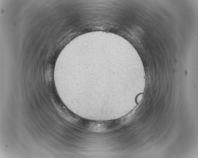 X0000085300174200704092307