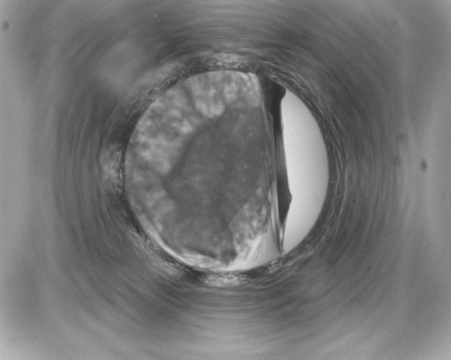 X0000085300181200704092307