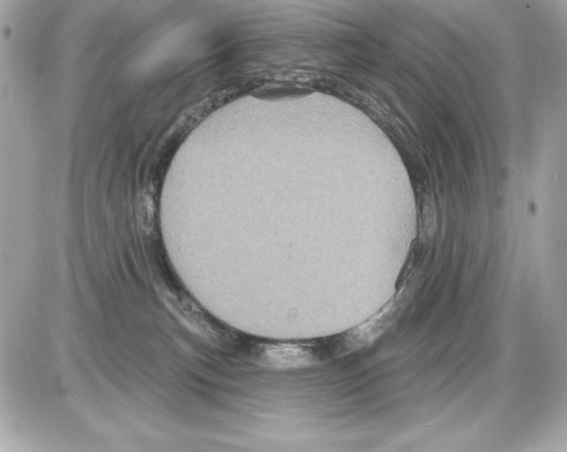X0000085300183200704092307