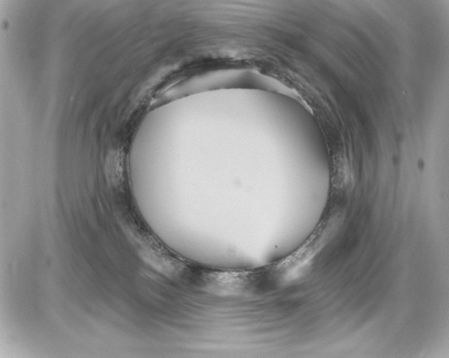 X0000085300184200704092307