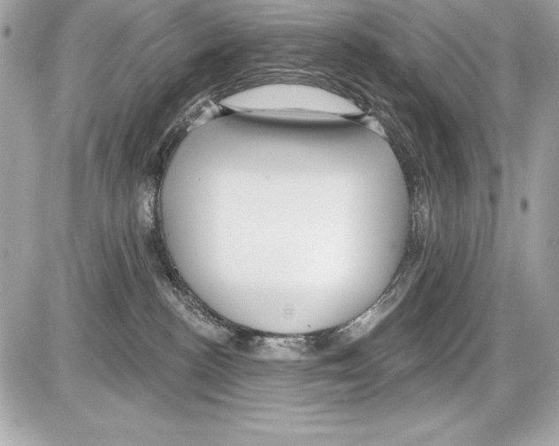 X0000085300188200704092307