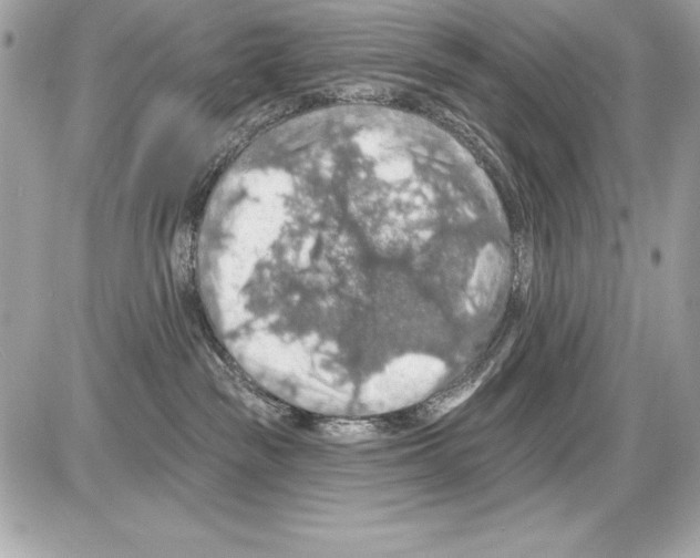 X0000085300189200704092307