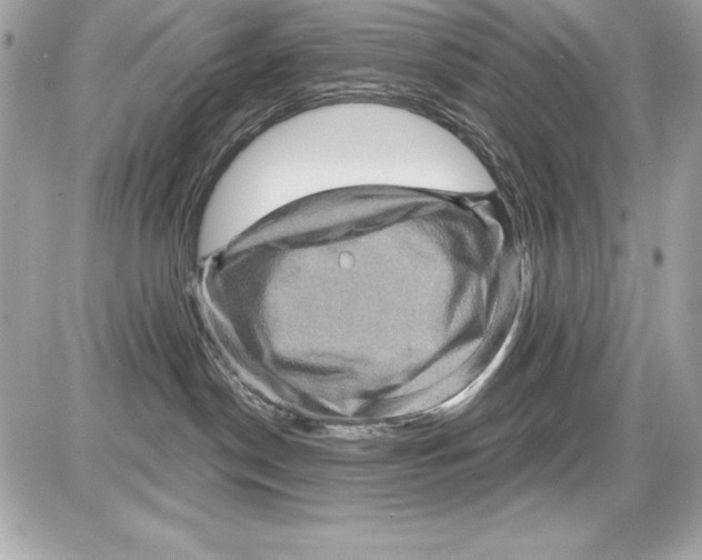 X0000085300190200704092307