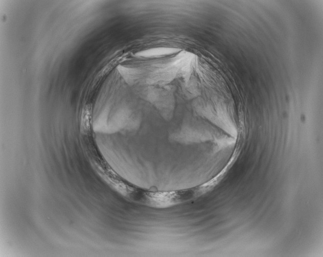 X0000085300191200704092307