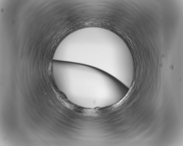 X0000085300192200704092307