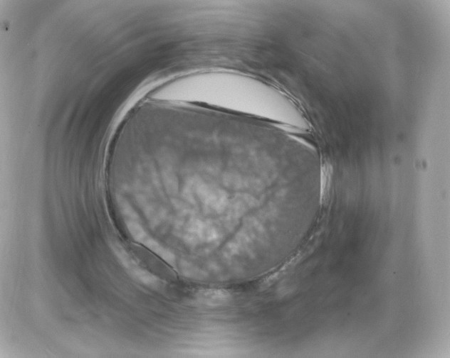 X0000085300195200704092306