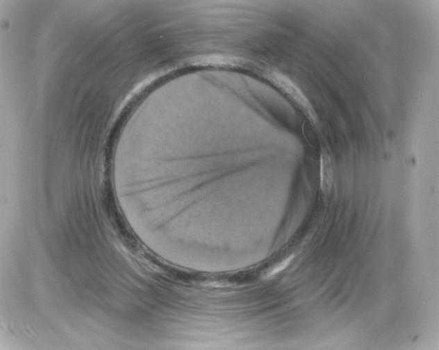 X0000085300204200704092306
