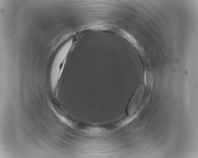 X0000085300205200704092306