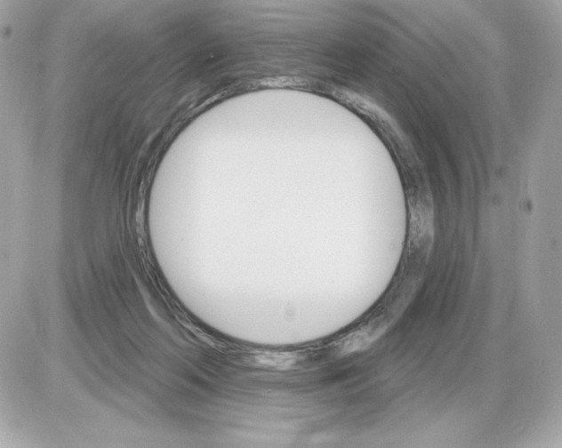 X0000085300214200704092306