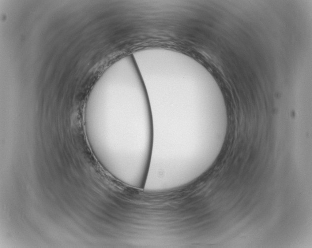 X0000085300221200704092306