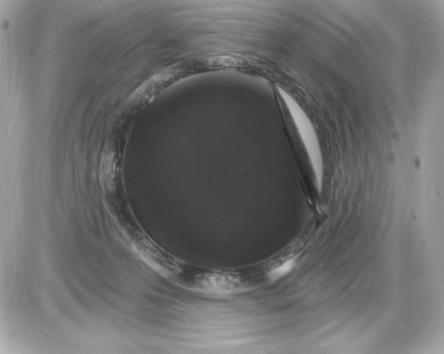 X0000085300223200704092306