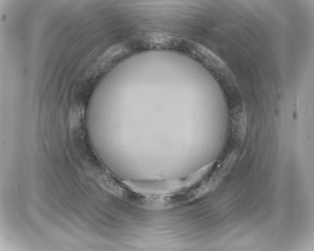 X0000085300225200704092306