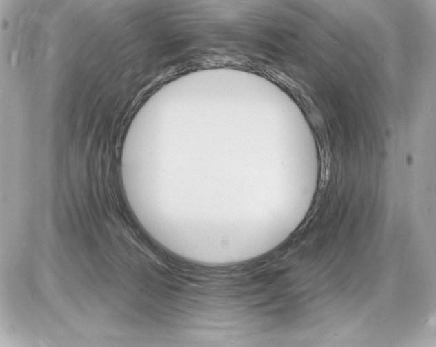 X0000085300226200704092306