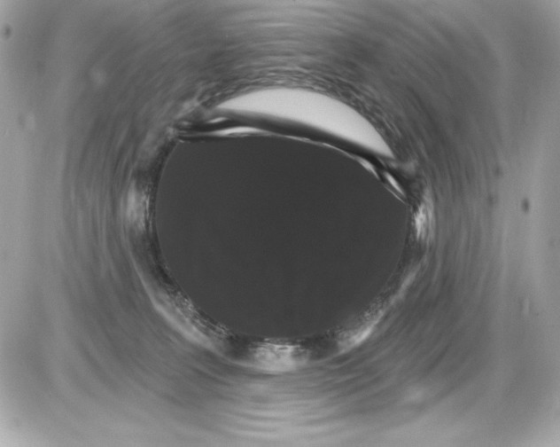 X0000085300227200704092306