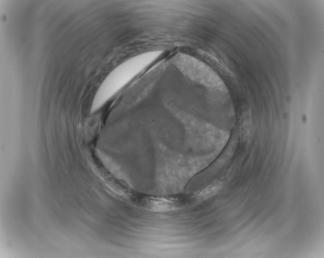 X0000085300229200704092306